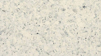 Линолеум Taralay Premium Compact Fusion 4753 COTOPAXI фото 1 | FLOORDEALER